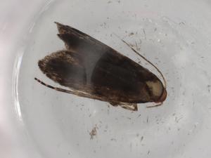  ( - BIOUG90787-C02)  @11 [ ] CreativeCommons - Attribution (2022) Centre for Biodiversity Genomics Centre for Biodiversity Genomics