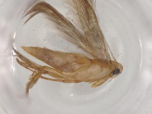  ( - BIOUG90811-D02)  @11 [ ] CreativeCommons - Attribution (2022) Centre for Biodiversity Genomics Centre for Biodiversity Genomics