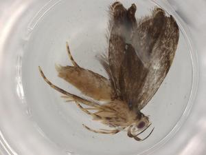  ( - BIOUG91458-A01)  @11 [ ] CreativeCommons - Attribution (2022) Centre for Biodiversity Genomics Centre for Biodiversity Genomics