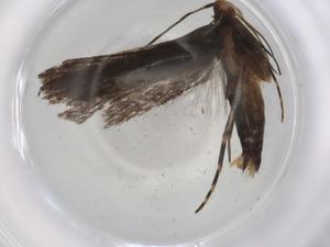  ( - BIOUG91483-A07)  @11 [ ] CreativeCommons - Attribution (2022) Centre for Biodiversity Genomics Centre for Biodiversity Genomics