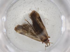  ( - BIOUG91682-B03)  @11 [ ] CreativeCommons - Attribution (2022) Centre for Biodiversity Genomics Centre for Biodiversity Genomics