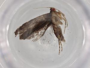  ( - BIOUG92206-F06)  @11 [ ] CreativeCommons - Attribution (2022) Centre for Biodiversity Genomics Centre for Biodiversity Genomics