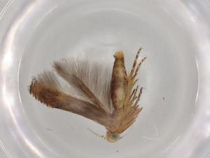  ( - BIOUG92208-B09)  @11 [ ] CreativeCommons - Attribution (2022) Centre for Biodiversity Genomics Centre for Biodiversity Genomics