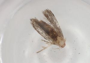  ( - BIOUG92620-B07)  @11 [ ] CreativeCommons - Attribution (2022) Centre for Biodiversity Genomics Centre for Biodiversity Genomics