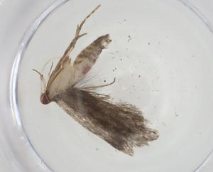  ( - CBG-A10480-E07)  @11 [ ] CreativeCommons - Attribution Share - Alike (2023) Centre for Biodiversity Genomics Centre for Biodiversity Genomics