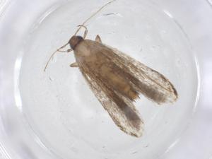  ( - CBG-A11254-F10)  @11 [ ] CreativeCommons - Attribution Share - Alike (2023) Centre for Biodiversity Genomics Centre for Biodiversity Genomics