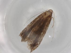  ( - BIOUG98488-C03)  @11 [ ] CreativeCommons - Attribution (2023) Centre for Biodiversity Genomics Centre for Biodiversity Genomics