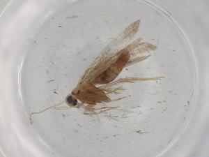  ( - CBG-A00603-A05)  @11 [ ] CreativeCommons - Attribution (2023) Centre for Biodiversity Genomics Centre for Biodiversity Genomics