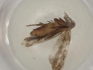  ( - CBG-A00613-B09)  @11 [ ] CreativeCommons - Attribution (2023) Centre for Biodiversity Genomics Centre for Biodiversity Genomics