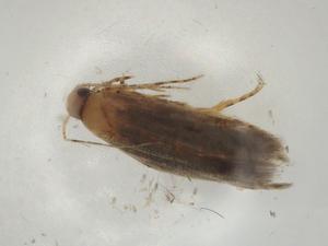  ( - CBG-A01711-D02)  @11 [ ] CreativeCommons - Attribution (2023) Centre for Biodiversity Genomics Centre for Biodiversity Genomics