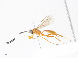  ( - CBG-A07046-E12)  @11 [ ] CreativeCommons - Attribution (2023) CBG Photography Group Centre for Biodiversity Genomics