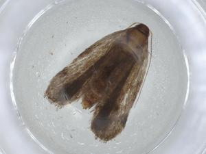  ( - CBG-A08233-E05)  @11 [ ] CreativeCommons - Attribution (2023) Centre for Biodiversity Genomics Centre for Biodiversity Genomics