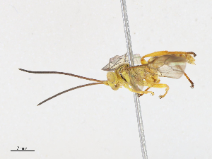  ( - CBG-A08765-D04)  @11 [ ] CreativeCommons - Attribution Share - Alike (2023) CBG Photography Group Centre for Biodiversity Genomics