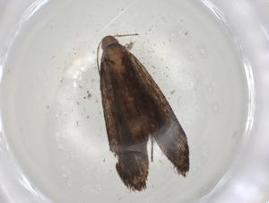  ( - CBG-A04802-C02)  @11 [ ] CreativeCommons - Attribution (2023) Centre for Biodiversity Genomics Centre for Biodiversity Genomics