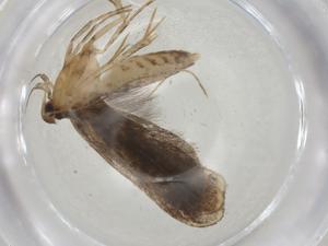  ( - CBG-A05041-F02)  @11 [ ] CreativeCommons - Attribution (2023) Centre for Biodiversity Genomics Centre for Biodiversity Genomics