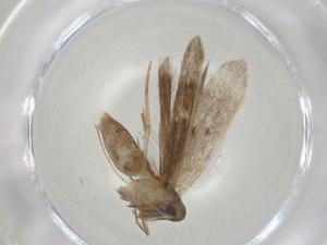  ( - CBG-A05041-G07)  @11 [ ] CreativeCommons - Attribution (2023) Centre for Biodiversity Genomics Centre for Biodiversity Genomics