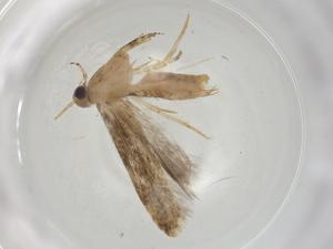  ( - CBG-A05048-A04)  @11 [ ] CreativeCommons - Attribution (2023) Centre for Biodiversity Genomics Centre for Biodiversity Genomics