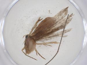  ( - CBG-A09175-E02)  @11 [ ] CreativeCommons - Attribution (2023) Centre for Biodiversity Genomics Centre for Biodiversity Genomics