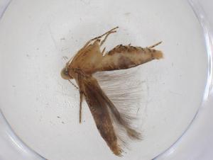  ( - CBG-A09175-E11)  @11 [ ] CreativeCommons - Attribution (2023) Centre for Biodiversity Genomics Centre for Biodiversity Genomics