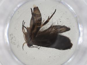  ( - CBG-A09897-B04)  @11 [ ] CreativeCommons - Attribution Share - Alike (2023) Centre for Biodiversity Genomics Centre for Biodiversity Genomics