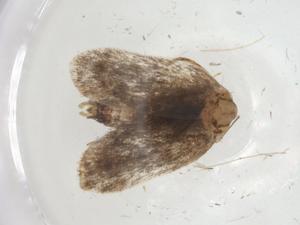  ( - CBG-A09900-F04)  @11 [ ] CreativeCommons - Attribution Share - Alike (2023) Centre for Biodiversity Genomics Centre for Biodiversity Genomics