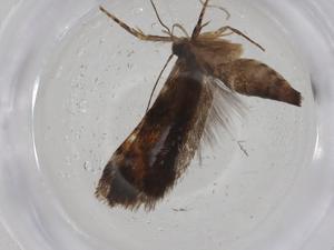  ( - CBG-A09923-F06)  @11 [ ] CreativeCommons - Attribution Share - Alike (2023) Centre for Biodiversity Genomics Centre for Biodiversity Genomics