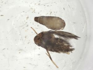  ( - CBG-A09950-A02)  @11 [ ] CreativeCommons - Attribution Share - Alike (2023) Centre for Biodiversity Genomics Centre for Biodiversity Genomics