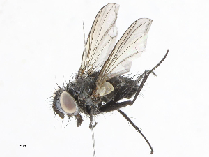  ( - CBG-A10797-A06)  @11 [ ] CreativeCommons - Attribution Share - Alike (2023) CBG Photography Group Centre for Biodiversity Genomics