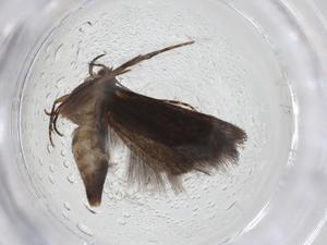  ( - CBG-A10851-H10)  @11 [ ] CreativeCommons - Attribution Share - Alike (2023) Centre for Biodiversity Genomics Centre for Biodiversity Genomics