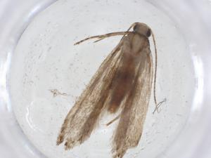  ( - CBG-A09974-B09)  @11 [ ] CreativeCommons - Attribution Share - Alike (2023) Centre for Biodiversity Genomics Centre for Biodiversity Genomics