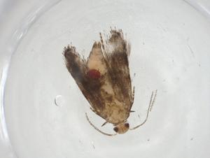  ( - CBG-A09975-F03)  @11 [ ] CreativeCommons - Attribution Share - Alike (2023) Centre for Biodiversity Genomics Centre for Biodiversity Genomics