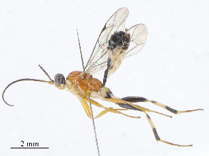  ( - CBG-A10797-E09)  @11 [ ] CreativeCommons - Attribution Share - Alike (2023) CBG Photography Group Centre for Biodiversity Genomics