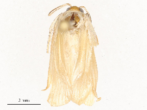  ( - CBG-A53607-A09)  @11 [ ] CreativeCommons - Attribution Share - Alike (2024) CBG Photography Group Centre for Biodiversity Genomics