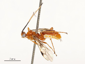  ( - CBG-A53608-E08)  @11 [ ] CreativeCommons - Attribution Share - Alike (2024) CBG Photography Group Centre for Biodiversity Genomics