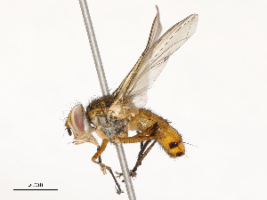  ( - CBG-A53644-B10)  @11 [ ] CreativeCommons - Attribution Share - Alike (2024) CBG Photography Group Centre for Biodiversity Genomics