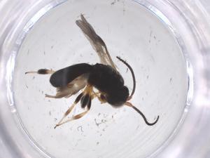  ( - CBG-A53688-F12)  @11 [ ] CreativeCommons - Attribution Share - Alike (2024) Centre for Biodiversity Genomics Centre for Biodiversity Genomics