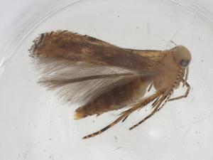  ( - CBG-A55984-A01)  @11 [ ] CreativeCommons - Attribution Share - Alike (2024) Centre for Biodiversity Genomics Centre for Biodiversity Genomics