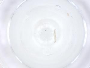  ( - CBG-A13710-C05)  @11 [ ] CreativeCommons - Attribution Share - Alike (2023) Centre for Biodiversity Genomics Centre for Biodiversity Genomics