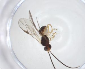  ( - CBG-A14138-D10)  @11 [ ] CreativeCommons - Attribution Share - Alike (2023) Centre for Biodiversity Genomics Centre for Biodiversity Genomics