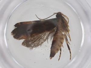  ( - CBG-A55183-C07)  @11 [ ] CreativeCommons - Attribution Share - Alike (2024) Centre for Biodiversity Genomics Centre for Biodiversity Genomics