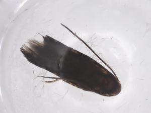  ( - CBG-A58483-F10)  @11 [ ] CreativeCommons - Attribution Share - Alike (2024) Centre for Biodiversity Genomics Centre for Biodiversity Genomics