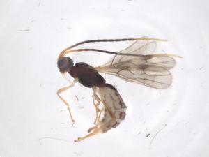  ( - CBG-A59067-H11)  @11 [ ] CreativeCommons - Attribution Share - Alike (2024) Centre for Biodiversity Genomics Centre for Biodiversity Genomics