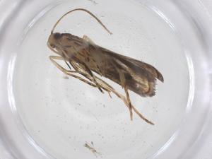  ( - CBG-A59116-D10)  @11 [ ] CreativeCommons - Attribution Share - Alike (2024) Centre for Biodiversity Genomics Centre for Biodiversity Genomics