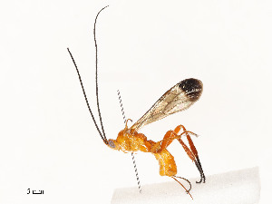  ( - CBG-A58706-H06)  @11 [ ] CreativeCommons - Attribution Share - Alike (2025) CBG Photography Group Centre for Biodiversity Genomics