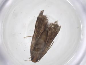  ( - CBG-A59372-H08)  @11 [ ] CreativeCommons - Attribution Share - Alike (2024) Centre for Biodiversity Genomics Centre for Biodiversity Genomics