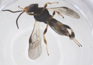  ( - CBG-A59389-C02)  @11 [ ] CreativeCommons - Attribution Share - Alike (2024) Centre for Biodiversity Genomics Centre for Biodiversity Genomics