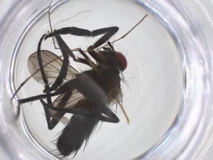  ( - CBG-A60348-H04)  @11 [ ] CreativeCommons - Attribution Share - Alike (2024) Centre for Biodiversity Genomics Centre for Biodiversity Genomics