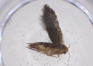  ( - CBG-A60362-E10)  @11 [ ] CreativeCommons - Attribution Share - Alike (2024) Centre for Biodiversity Genomics Centre for Biodiversity Genomics