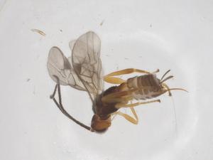  ( - CBG-A60391-E04)  @11 [ ] CreativeCommons - Attribution Share - Alike (2024) Centre for Biodiversity Genomics Centre for Biodiversity Genomics