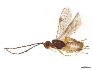  ( - CBG-A60391-E04)  @11 [ ] CreativeCommons - Attribution Share - Alike (2025) CBG Photography Group Centre for Biodiversity Genomics